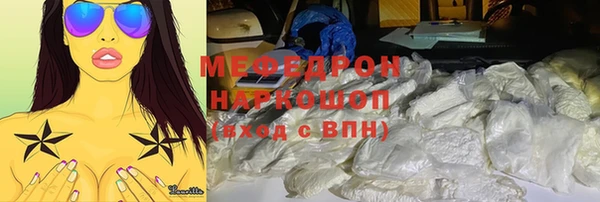PSILOCYBIN Ельня