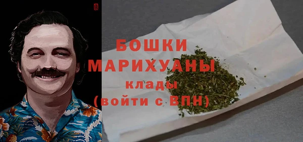 PSILOCYBIN Ельня