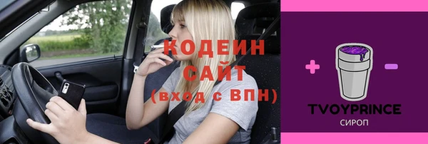PSILOCYBIN Ельня