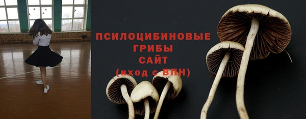 PSILOCYBIN Ельня