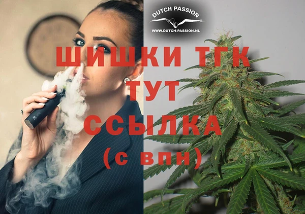 PSILOCYBIN Ельня