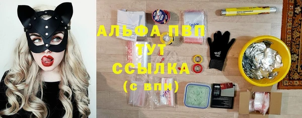 амф Елабуга