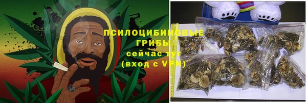 PSILOCYBIN Ельня