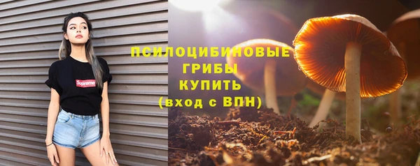 амф Елабуга