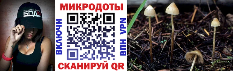 Купить где  Зея  Галлюциногенные грибы MAGIC MUSHROOMS 
