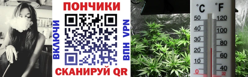 Шишки марихуана LSD WEED  Купить  Зея 